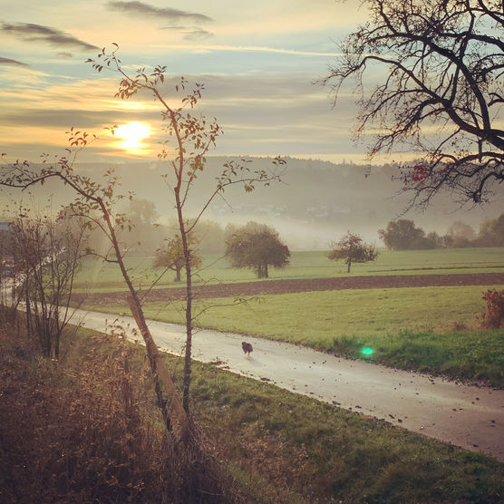 Hein traumhafter Herbstmorgen mit Hein traumhafter Herbstmorgen mit