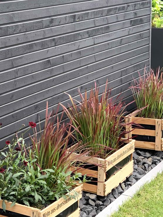 Bild von verenana Bild von verenana