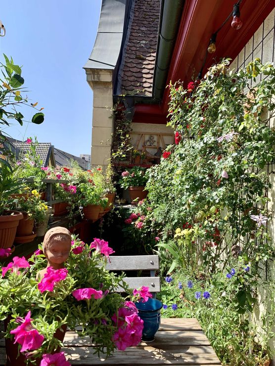 Bild von hetistern Bild von hetistern