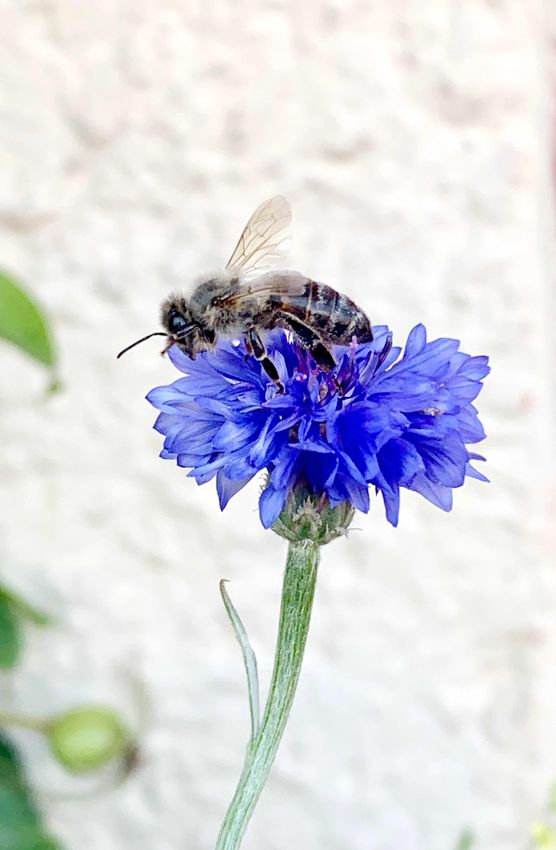 Bild von hetistern Bild von hetistern