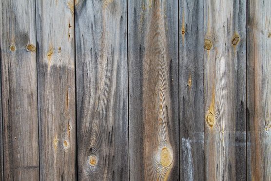 Unser Schuppen.. Grau in Grau... Unser Schuppen.. Grau in Grau...