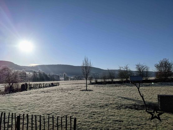 Bild von Christina Bürger Bild von Christina Bürger