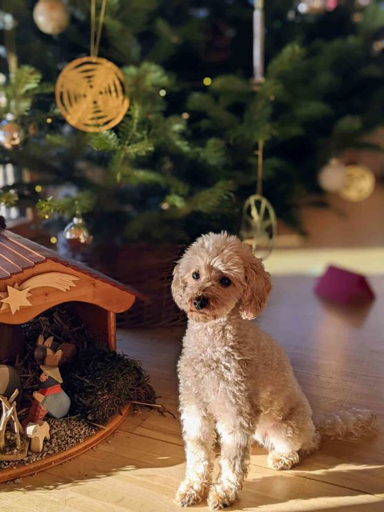 Bild von Christina Bürger Bild von Christina Bürger