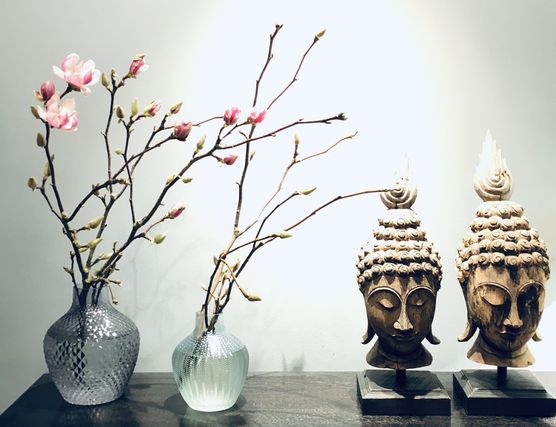 Die ersten Magnolien 😍. Die ersten Magnolien 😍.