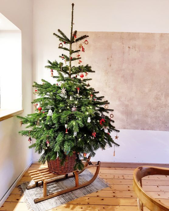 Weihnachtsbaum vor der Sichtbetonwand Weihnachtsbaum vor der Sichtbetonwand