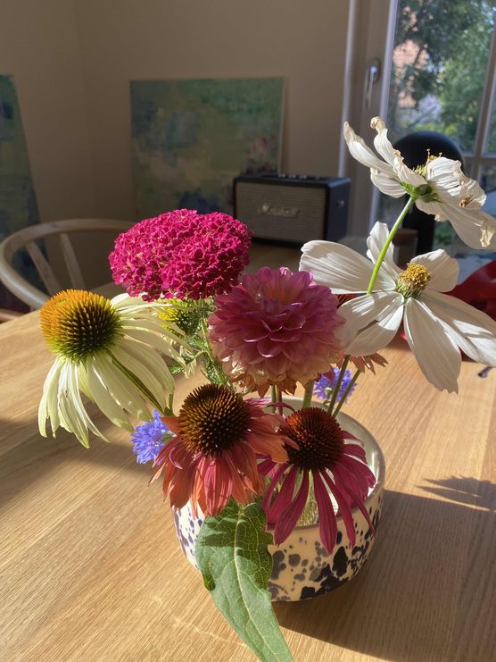 Bild von irgendwodazwischen Bild von irgendwodazwischen