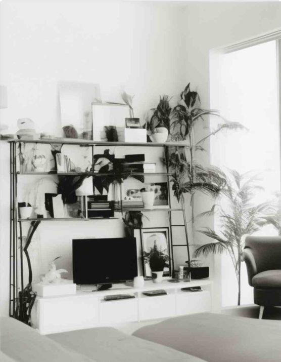 Bild von Shin Bild von Shin