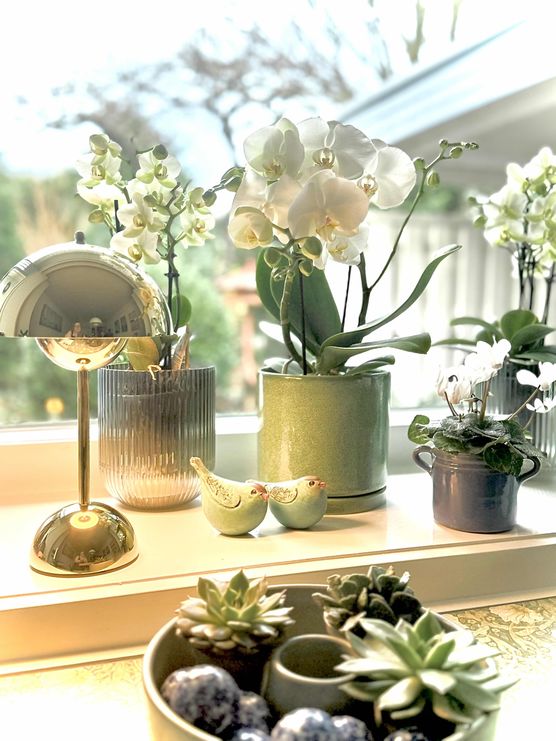 Bild von Diwa123 Bild von Diwa123