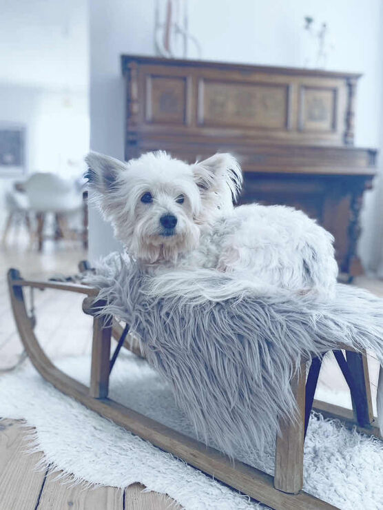 Bild von Die Weiße Villa Bild von Die Weiße Villa