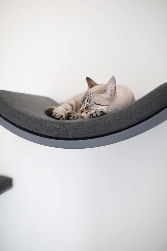 Bild von junoandkaya Bild von junoandkaya