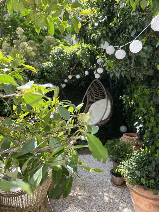 Der Sommer ist da…. Der Sommer ist da….