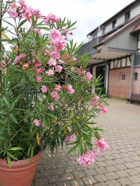 Bild von Scheunen Traum Bild von Scheunen Traum