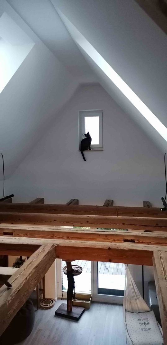 Bild von Scheunen Traum Bild von Scheunen Traum