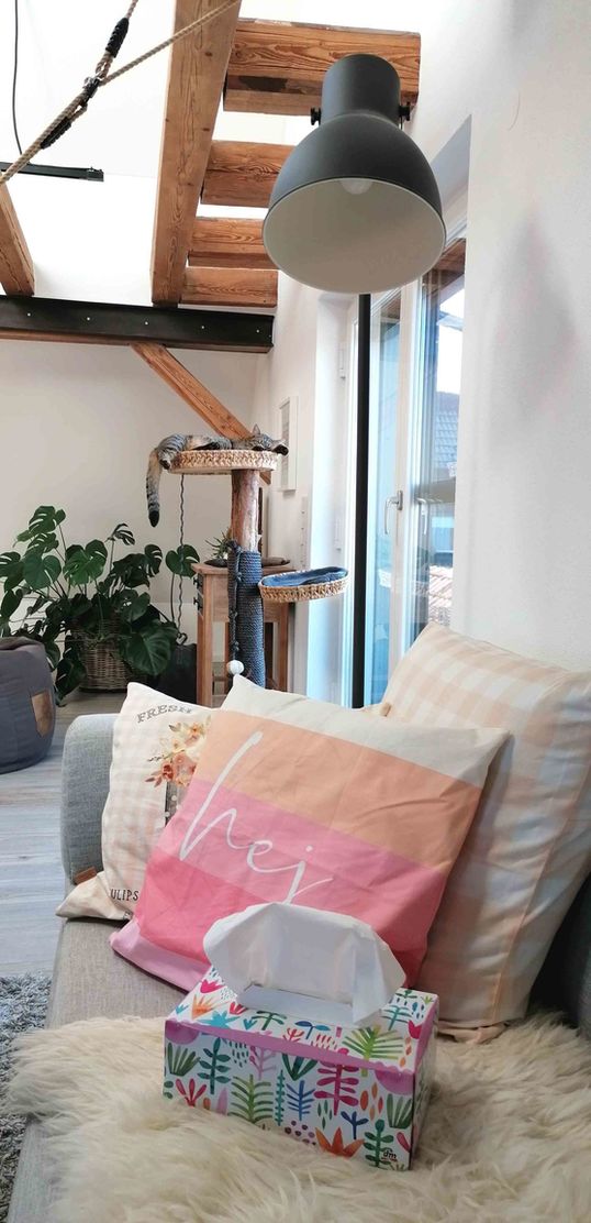 Bild von Scheunen Traum Bild von Scheunen Traum