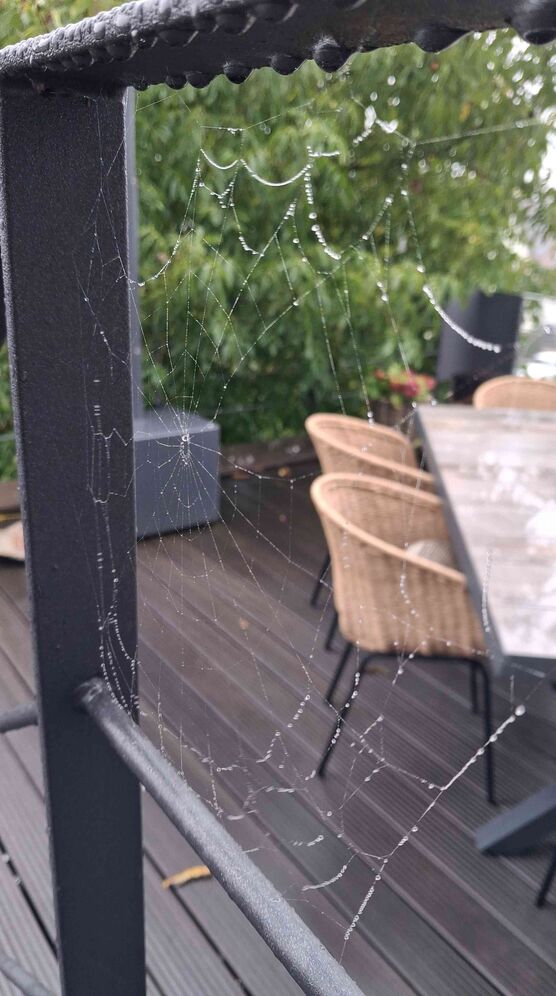 Bild von Scheunen Traum Bild von Scheunen Traum