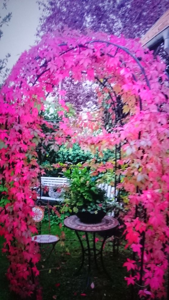 Es ist Herbst geworden Es ist Herbst geworden