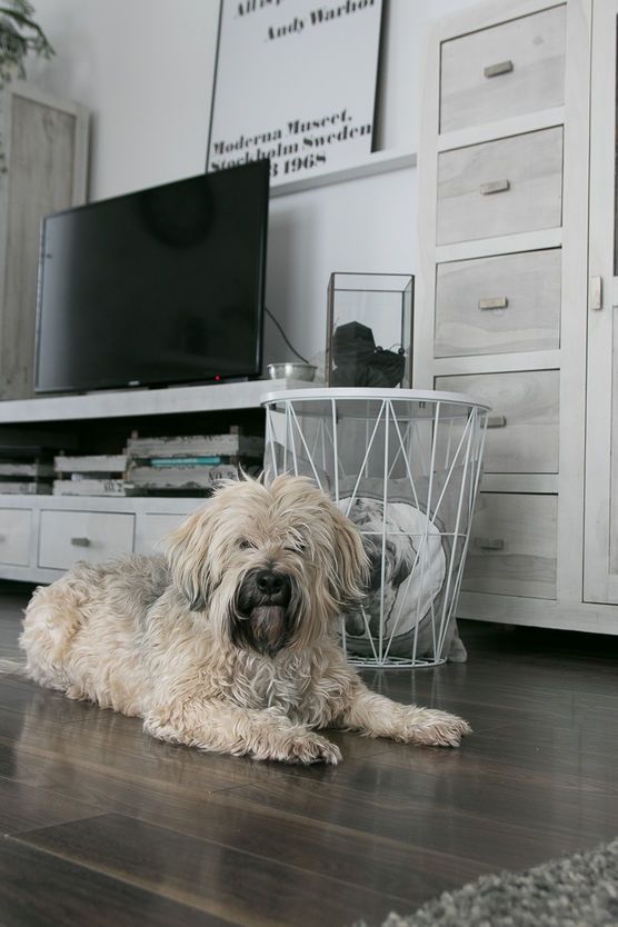 Original und Klon Original und Klon