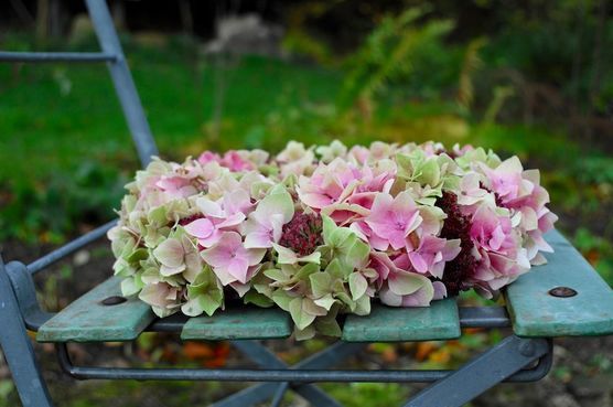 Die letzten Blüten ... Die letzten Blüten ...