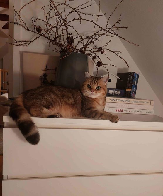 Bild von Flora Alma Bild von Flora Alma