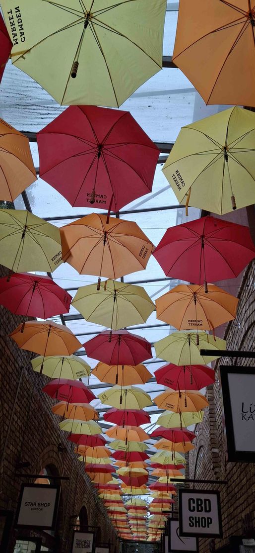 Bild von Räumelein Bild von Räumelein