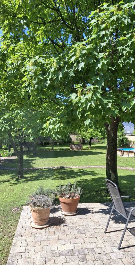 Bild von Räumelein Bild von Räumelein