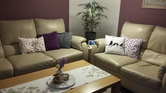 :tulip:Frühlingsvorboten:tulip: :tulip:Frühlingsvorboten:tulip: