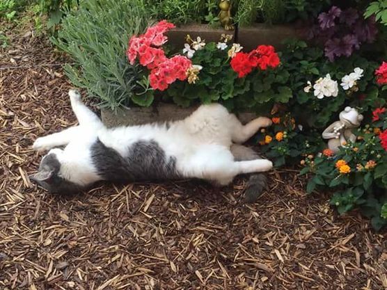 Tiefenentspannt... ???? Tiefenentspannt... ????