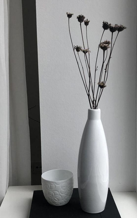 … entdeckt auf einem … entdeckt auf einem