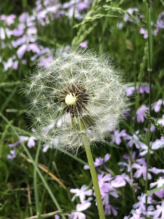 Momentaufnahme Momentaufnahme