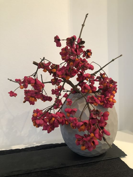 VomWegesRand VomWegesRand