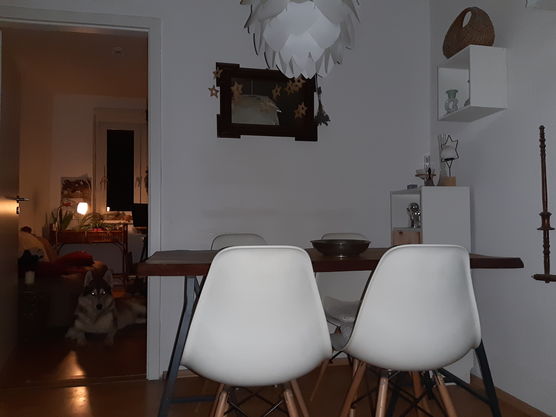 Endlich Feierabend und Koira Endlich Feierabend und Koira