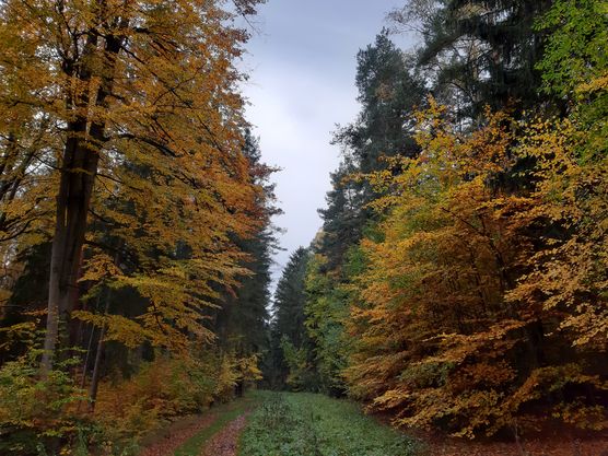 Ein Herbstgruss aus Thüringen Ein Herbstgruss aus Thüringen