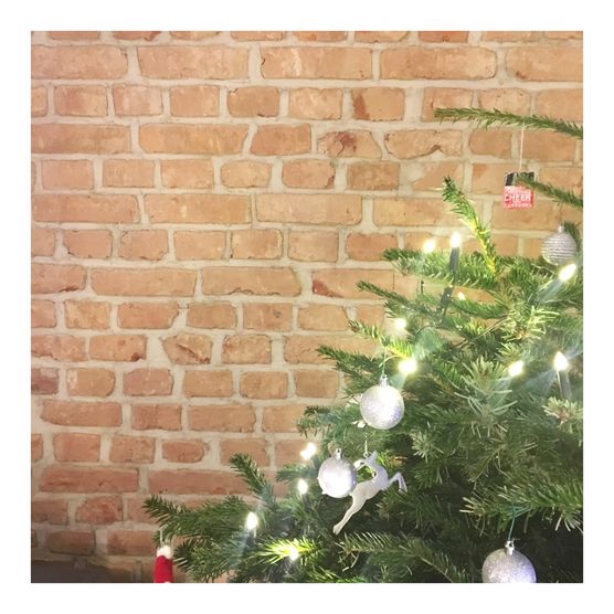 Bild von thejaniiina Bild von thejaniiina