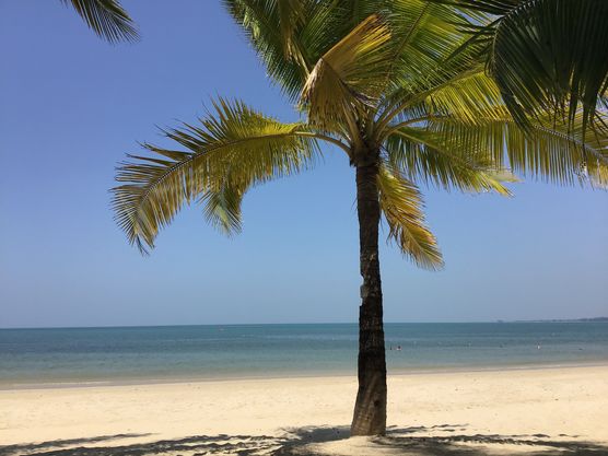 Bild von Sternchen22 Bild von Sternchen22