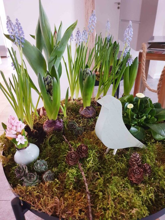 Bild von Irena Krämer Bild von Irena Krämer