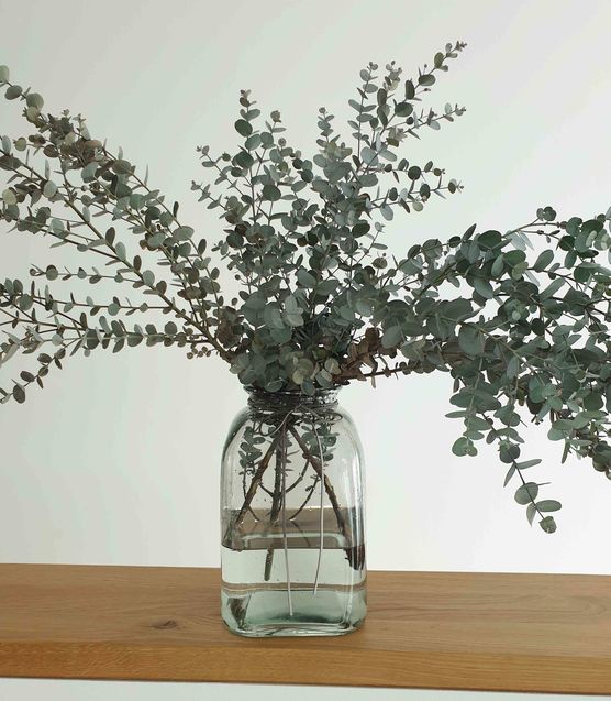 Bild von Irena Krämer Bild von Irena Krämer