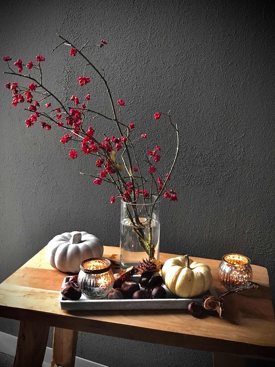 Bild von Maxdiekatz Bild von Maxdiekatz