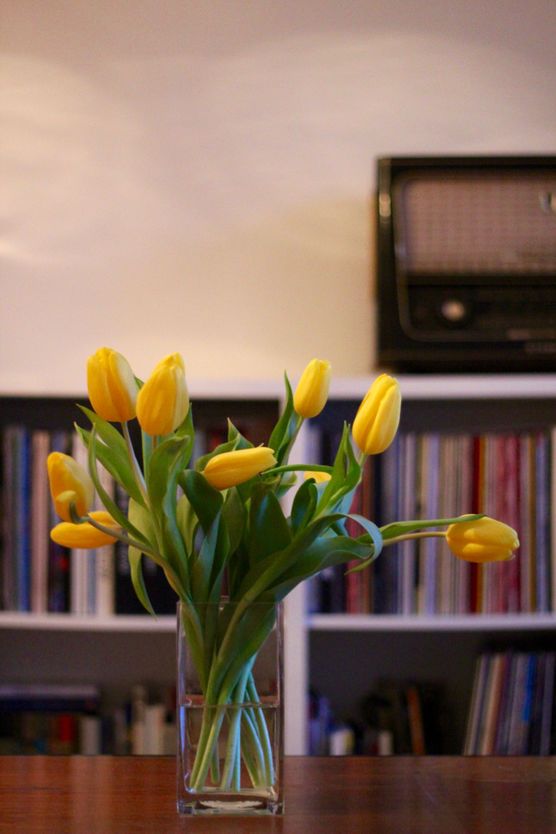 Wenn der Frühling noch auf sich warten lässt, muss man diesen eben in die Wohnung holen :relaxed: Wenn der Frühling noch auf sich warten lässt, muss man diesen eben in die Wohnung holen :relaxed: