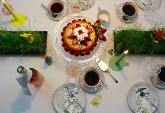 Der Frühling kommt immer näher! Der Frühling kommt immer näher!