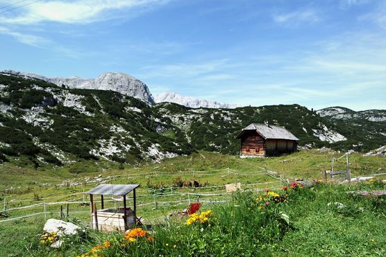 liebstes Sommerurlaubsbild liebstes Sommerurlaubsbild