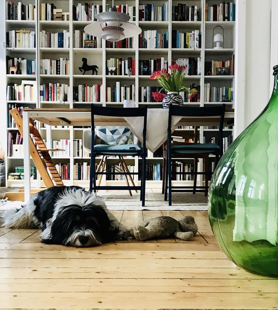 Ich versuche ja immer Ich versuche ja immer