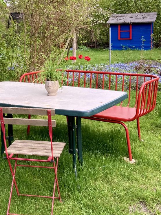 Bild von Blaumeise Bild von Blaumeise