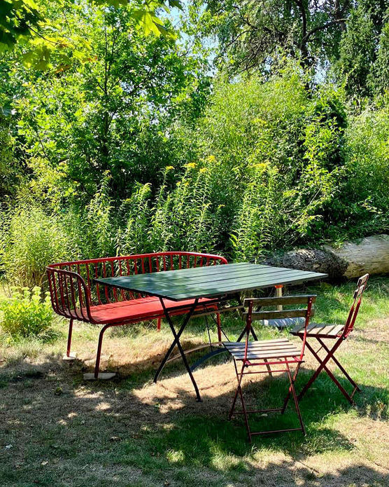 Bild von Blaumeise Bild von Blaumeise