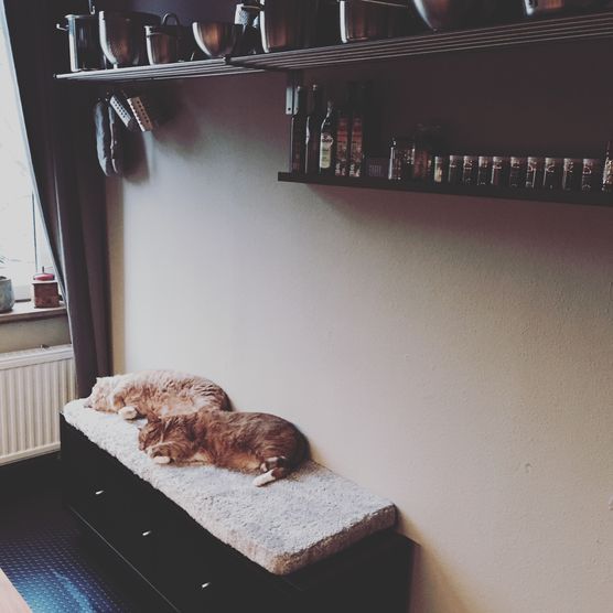 New favorite place New favorite place