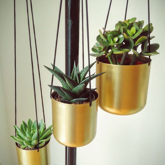 Hängendes Gold Hängendes Gold