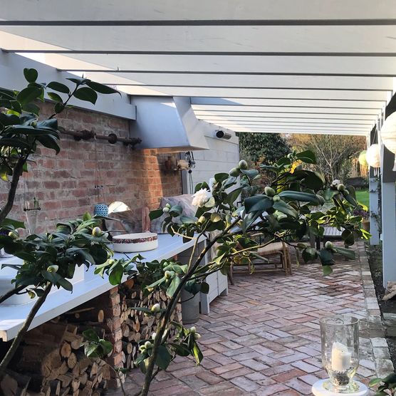 ... die Außenküche. Ich ... die Außenküche. Ich