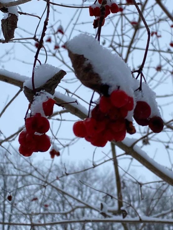 Bild von Coffeefirst Bild von Coffeefirst