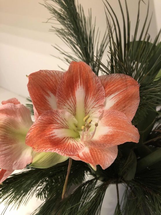 Bild von Coffeefirst Bild von Coffeefirst