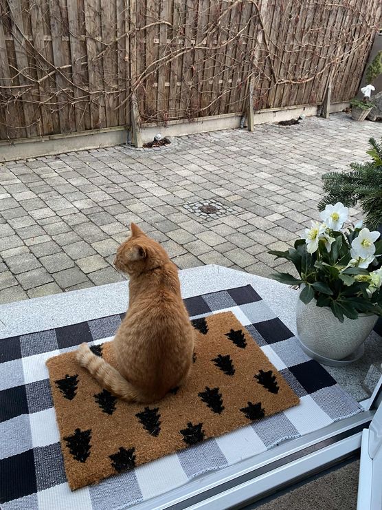 Bild von Coffeefirst Bild von Coffeefirst