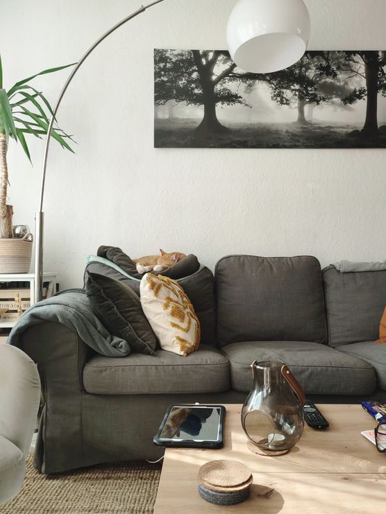 Die schonsten Ideen mit IKEA Ektorp Sofas